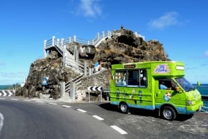 Mauricio: Tour de día completo por el Sudoeste Salvaje con almuerzo