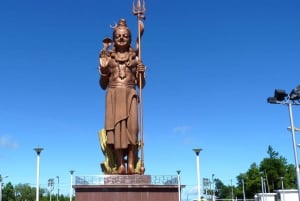 Mauricio: Tour de día completo por el Sudoeste Salvaje con almuerzo