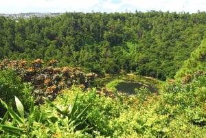 Mauricio: Tour de día completo por el Sudoeste Salvaje con almuerzo