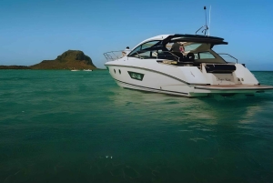 Mauritius: Yacht Exclusive Dolphin & Snorkeling Experience