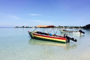 Montego Bay: 5-tägige Jamaika-Tour mit Mahlzeiten und Transfers