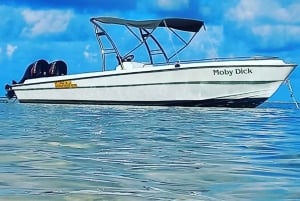 Aamu merellä: Delfiinejä, mauritiolainen aamiainen, luonnollinen akvaario, Cristal Rock