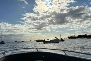 Aamu merellä: Delfiinejä, mauritiolainen aamiainen, luonnollinen akvaario, Cristal Rock