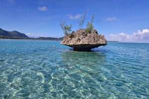 Aamu merellä: Delfiinejä, mauritiolainen aamiainen, luonnollinen akvaario, Cristal Rock