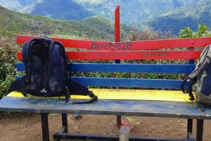 Ruta de senderismo por la naturaleza en Piton Petite Rivière Noire con almuerzo y traslado