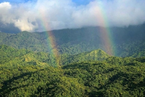 Ruta de senderismo por la naturaleza en Piton Petite Rivière Noire con almuerzo y traslado