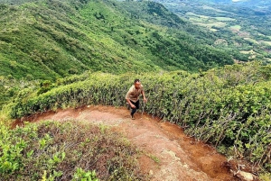 Ruta de senderismo por la naturaleza en Piton Petite Rivière Noire con almuerzo y traslado