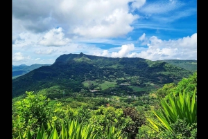 Ruta de senderismo por la naturaleza en Piton Petite Rivière Noire con almuerzo y traslado