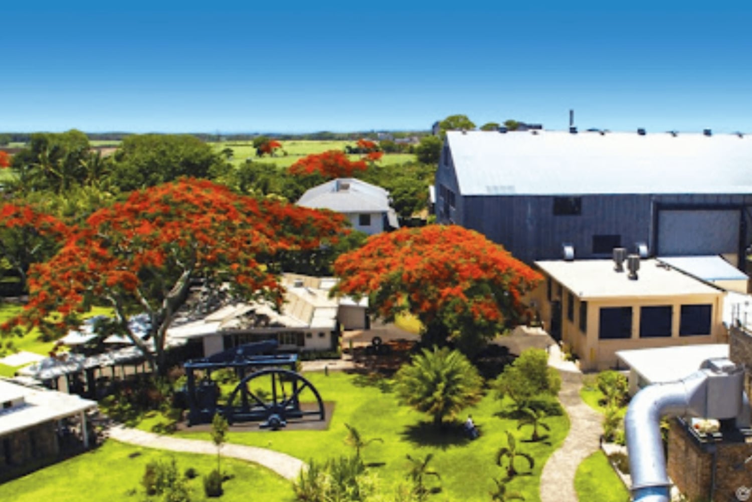 North Day Tour, Botanical Garden, Sugar Museum, Rum Tasting