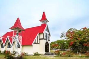 North Day Tour, Botanical Garden, Sugar Museum, Rum Tasting