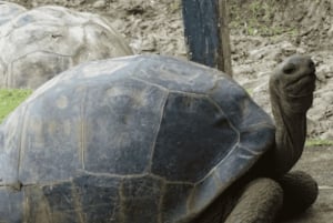 North Day Tour, Botanical Garden, Sugar Museum, Rum Tasting