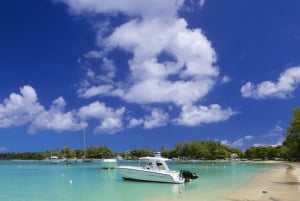 North Day Tour, Botanical Garden, Sugar Museum, Rum Tasting