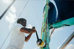 Norte de Mauricio: Crucero en catamarán con almuerzo barbacoa