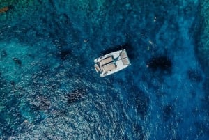 Norte de Mauricio: Crucero en catamarán con almuerzo barbacoa