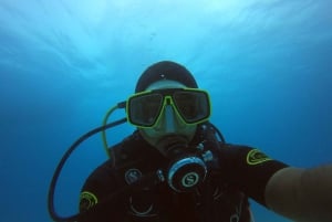 North of Mauritius: Scuba Diving Tour
