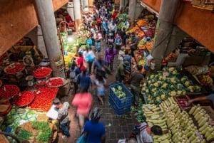 North Tour Of Mauritius With Street Food tasting