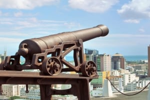 Tour Norte: Port Louis, Caudan, Citadelle, Jardim Botânico