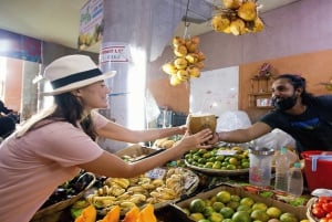 Tour Norte: Port Louis, Caudan, Citadelle, Jardim Botânico