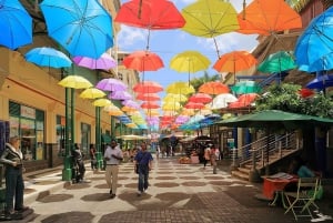 North Tour: Port Louis, Caudan, Citadelle, Botanical Garden