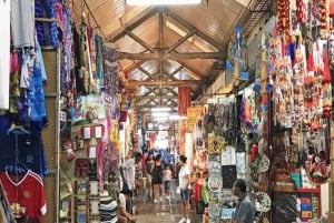 North Tour: Port Louis, Caudan, Citadelle, Botanical Garden