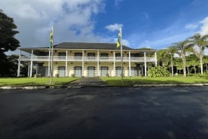 Mercato di Port Louis, Giardino Botanico - Tour di Mauritius Nord