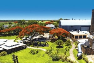 Mercato di Port Louis, Giardino Botanico - Tour di Mauritius Nord