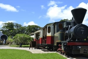 Mercato di Port Louis, Giardino Botanico - Tour di Mauritius Nord