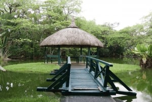 Mauritius: Nordlig tur med Port Louis-marked, tempel og strand