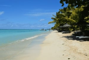 Mauritius: Nordlig tur med Port Louis-marked, tempel og strand