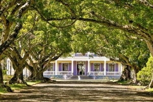 Northern Wonders Full-Day Private Tour with 3 Parks & Lunch