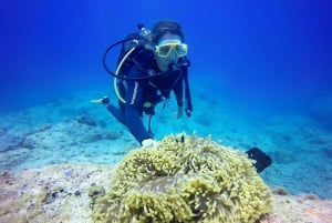 Padi Advance Open water Diver course