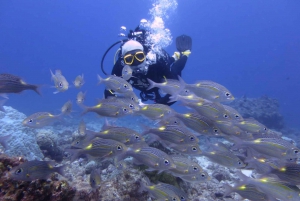 Padi Advance Open water Diver course
