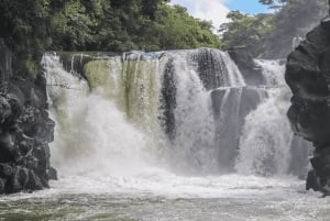'Paradise Explorer: Snorkel, Sail, and Swim in Mauritius!'
