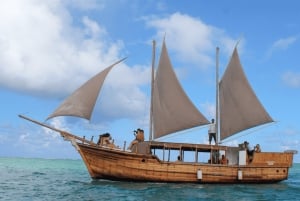 'Paradise Explorer: Snorkel, Sail, and Swim in Mauritius!'