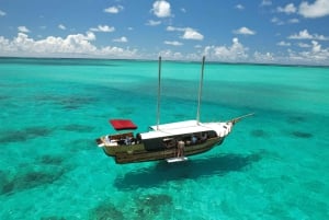 'Paradise Explorer: Snorkel, Sail, and Swim in Mauritius!'