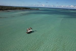 'Paradise Explorer: Snorkel, Sail, and Swim in Mauritius!'