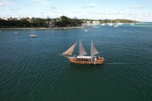 'Paradise Explorer: Snorkel, Sail, and Swim in Mauritius!'