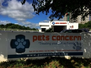 Pets Concern