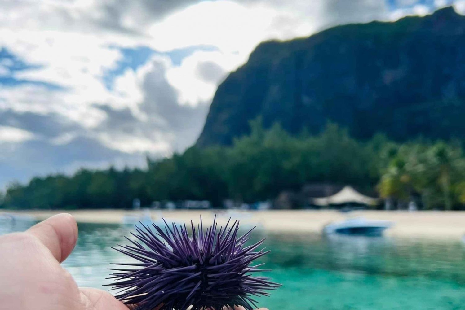 'Pieds dans l'eau': Snorkel & have Lunch on 'Benitier island