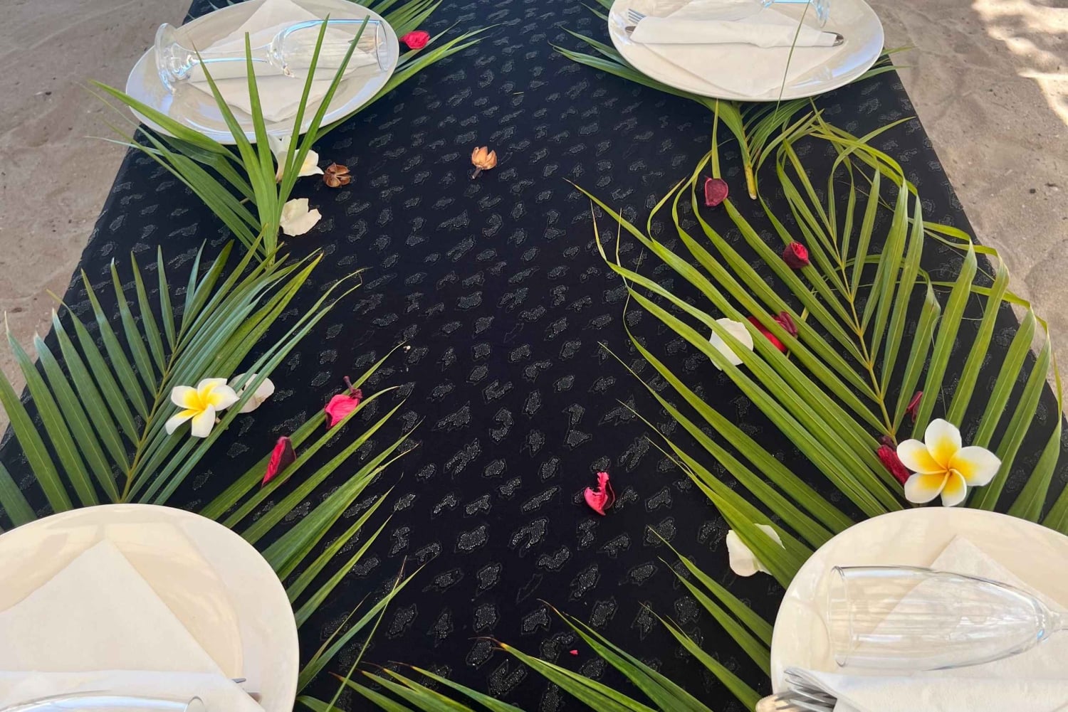 'Pieds dans l'eau': Snorkel & have Lunch on 'Benitier island