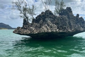 'Pieds dans l'eau': Snorkel & have Lunch on 'Benitier island
