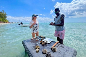 'Pieds dans l'eau': Snorkel & have Lunch on 'Benitier island
