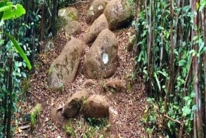 Randonnée du Piton de la petite rivière noire