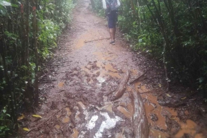 Randonnée du Piton de la petite rivière noire