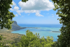 Randonnée du Piton de la petite rivière noire