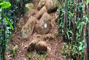 Piton de la petite rivière noire Patikointi