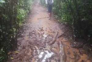 Piton de la petite rivière noire Patikointi