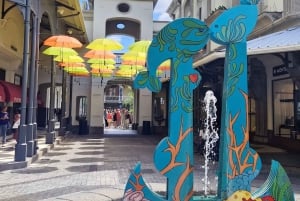 Port Louis: Stadsrundtur med gatumatprovning