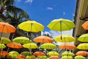 Port Louis: Stadsrundtur med gatumatprovning