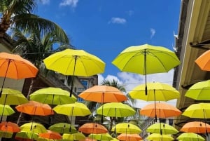 ポートルイス：ストリートフードの試食付き市内ツアー